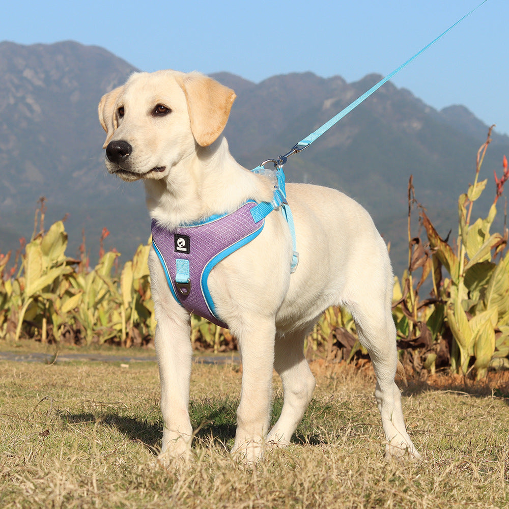 Experience Ultimate Comfort with Our Breathable Pet Harness